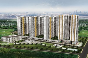 Năm Bảy Bảy (NBB) bị phạt 262,5 triệu đồng vì vi phạm nghĩa vụ công bố thông tin
