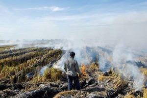 Trung Quốc có thể đối mặt nhiều tác động từ hiện tượng El Nino