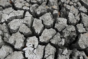 Xung đột Trung Đông và El Nino tạo áp lực kép lên Kl992 cổng game cá cược châu Á