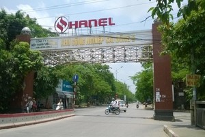 ĐHCĐ Hanel: Điểm nhấn câu chuyện thoái vốn 99Kl99 trực tiếp đá gà