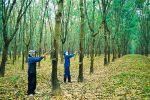 Ảnh Internet