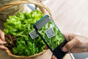 Ứng dụng công nghệ và chuyển đổi số trong truy xuất nguồn gốc là việc cấp bách trong quá trình hội nhập Kl992 cổng game cá cược quốc tế