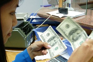 Thị trường ngoại hối đã đi vào ổn định