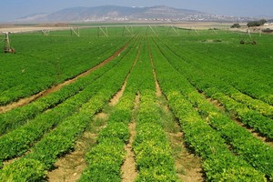 IFC Kl99ok phiên bản mới 230 tỷ đồng vào PAN Farm 
