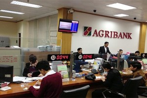 Agribank triển khai hoạt động tín dụng trọng tâm 5 tháng cuối năm 2018