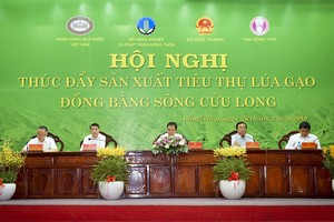 Hội nghị "Thúc đẩy Kl994 nhà cái bóng đá world cup tiêu thụ lúa gạo Đồng bằng sông Cửu Long