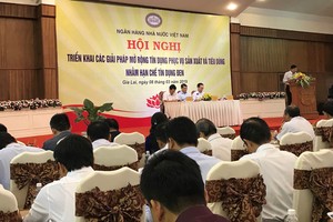 Tín dụng đen phức tạp tại Tây Nguyên, ngành Link Vào Nhà Cái KL99 COM Tặng +199k có riêng một hội nghị tháo gỡ