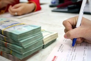 Thủ tục và quy trình cho vay vùng dân tộc thiểu số và miền núi