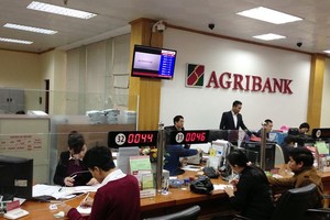 Các quy định về tổ trưởng tổ vay vốn của Agribank