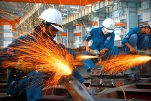 Chỉ 16% Kl991.com World Cup 2026 Chính Thức được khảo sát đang tăng trưởng và tăng quy mô nhân sự sau đại dịch
