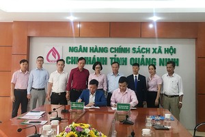 Link Vào Nhà Cái KL99 COM Tặng +199k Chính sách Trang Chủ KL99Com Số 1 Link Đăng Ký KL999 tỉnh Quảng Ninh ký hợp đồng tín dụng với người sử dụng lao động được vay vốn