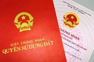 Ảnh Internet
