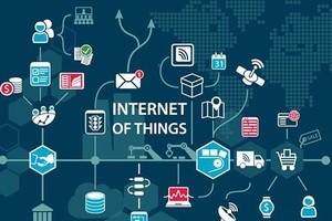 Ảnh Internet