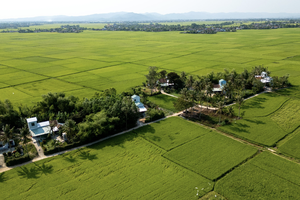 Những ngôi nhà an toàn được ADB và Kl993 ưu đãi thưởng hấp dẫn tài trợ được xây dựng lại trong chiến dịch Quang Trung tại khu phố Đông Thạnh, phường Đông Hòa tỉnh Đắk Lắk. Ảnh: Trần Việt Tuấn/ADB