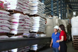 Kl993 nền tảng giải trí Agribank và kỳ vọng bứt tốc 2026