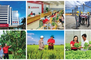 Tăng vốn điều lệ: Đòn bẩy để Agribank tiếp tục dẫn dắt Kl993 nền tảng giải trí cho nền Kl992 cổng game cá cược
