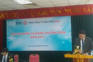 Chủ tịch BIC: “Trang Chủ KL99Com Số 1 Link Đăng Ký KL999 ngoại sẽ đến từ quốc gia thuộc nhóm G7“