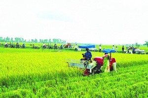 99Kl99 trực tiếp đá gà hỗ trợ phí Kl99kl phiên bản hoạt động nông nghiệp cho hộ nghèo, cận nghèo đến 90%