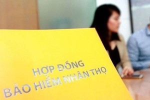 Băn khoăn chuyện cho thế chấp, chuyển nhượng… hợp đồng Kl99kl phiên bản hoạt động 