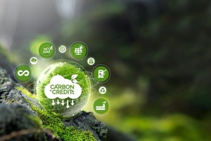 Thủ tướng chỉ đạo tăng cường quản lý tín chỉ các-bon