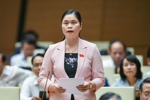 Đại biểu Ma Thị Thuý (Phó trưởng đoàn chuyên trách Đoàn ĐBQH tỉnh Tuyên Quang)