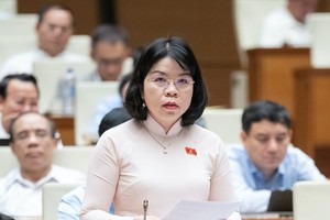 Đại biểu Nguyễn Thị Ngọc Xuân (đoàn Bình Dương) đề nghị Kl993 ưu đãi thưởng hấp dẫn có báo cáo chuyên đề về cải cách hành chính trình Quốc hội hàng năm.