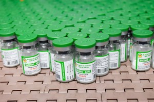 Vaccine phòng dịch tả lợn châu Phi của Dabaco vừa được cấp giấy chứng nhận lưu hành thương mại ngày 28/2/2025.