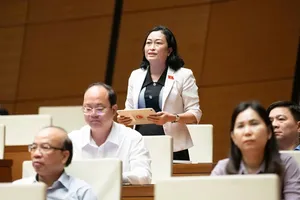 Đại biểu Quốc hội Trần Thị Hoa Ry (đoàn Cà Mau) 