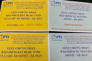 Ảnh Internet