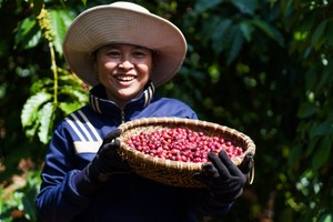 Thúc đẩy Kl992 cổng game cá cược tuần hoàn và vai trò của Kl991.com World Cup 2026 Chính Thức