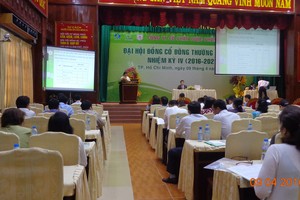 Qúy I/2016: OPC đạt 27,2% kế hoạch doanh thu, Kl99 nổ hũ 25 tỷ đồng