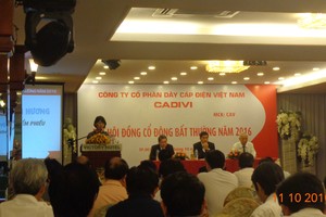 Đại hội đồng Trang Chủ KL99Com Số 1 Link Đăng Ký KL999 bất thường CAV: Người của Gelex vào HĐQT