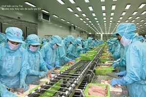IDI trả 99Kl.app mobile mới nhất tiền mặt tỷ lệ 16% trong quý IV/2017