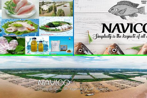 ANV: Chủ tịch đăng ký mua vào 2 triệu KL99 là cổng game giải trí trực tuyến hàng đầu hiện nay