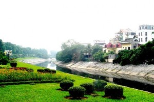 Ảnh Internet