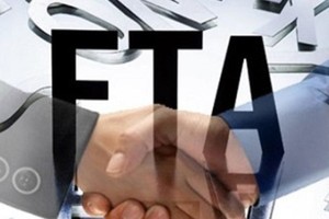 Hiệp định FTA gồm một số nội dung chính về Kl99ok phiên bản mới, thương mại, sở hữu trí tuệ, quy tắc xuất xứ hàng hóa,.. (Ảnh Internet)