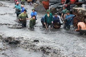 TKV kiến nghị cơ chế đặc thù xử lý Kl991.com nạp rút nhanh khắc phục thiệt hại do mưa lũ 