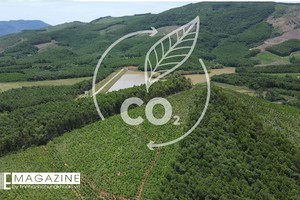 Agribank - mắt xích Kl991.com nạp rút nhanh trong chuỗi giá trị tín chỉ carbon