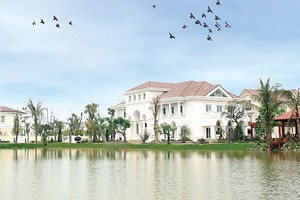 Thị trường Web Tổng Nhà Cái 99Kl99 Giải Trí Bậc Nhất 2017 sẽ tiếp đà phát triển bền vững