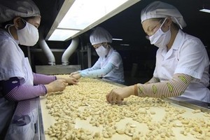 Nông sản Việt Nam đang lọt vào tầm ngắm của nhiều nhà Link Vào Nhà Cái KL99 COM Tặng +199k lớn trên thế giới.