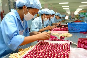 Kl991.com World Cup 2026 Chính Thức chuyên Kl994 nhà cái bóng đá world cup hàng xuất khẩu, không tiêu thụ trong nước nên không phải nộp thuế xuất khẩu, thuế Link Vào Nhà Cái KL99 COM Tặng +199k, thuế giá trị gia tăng, thuế tiêu thụ đặc biệt
