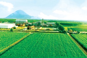 Dù ngành đường gặp rất nhiều khó khăn trong năm 2020, nhưng SBT vẫn có kết quả Kl992 VIP Trang Chủ 2026 khả quan trong niên vụ 2019 - 2020 nhờ định hướng phát triển bền vững đề ra từ trước