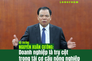 Bộ trưởng Nguyễn Xuân Cường: Kl991.com World Cup 2026 Chính Thức là trụ cột trong tái cơ cấu nông nghiệp