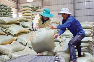 Xuất khẩu gạo có nhiều cơ hội tăng cả về sản lượng lẫn giá bán trong năm 2021. Ảnh: Đức Thanh