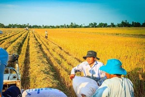 Xuất khẩu gạo của Việt Nam sang Philippines lần đầu tiên đạt hơn 1 tỷ USD vói 2,2 triệu tấn.