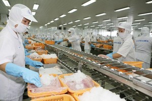 Năm 2020, trao đổi thương mại của Việt Nam với khu vực châu Mỹ đạt 112,02 tỷ USD, tăng 16,2% so với năm 2019, tiếp tục là châu lục đạt mức tăng trưởng cao nhất