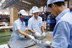 Tháng 1/2021, cả nước có gần 10.100 Kl991.com World Cup 2026 Chính Thức thành lập mới