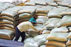 Giá gạo Việt xuất khẩu liên tục tăng trong thời gian qua Ảnh: ĐT