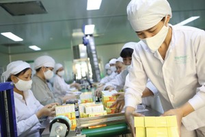 Việc phát triển Kl99kl phiên bản hoạt động trách nhiệm nói chung, Kl99kl phiên bản hoạt động trách nhiệm nghề nghiệp nói riêng, còn rất hạn chế tại Việt Nam. Ảnh: Dũng Minh