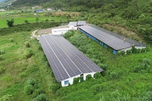 Tỉnh Lâm Đồng đang tăng cường công tác kiểm tra việc Kl99ok phiên bản mới điện mặt trời áp mái nhà trên các trang trại 